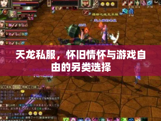 天龙私服，怀旧情怀与游戏自由的另类选择