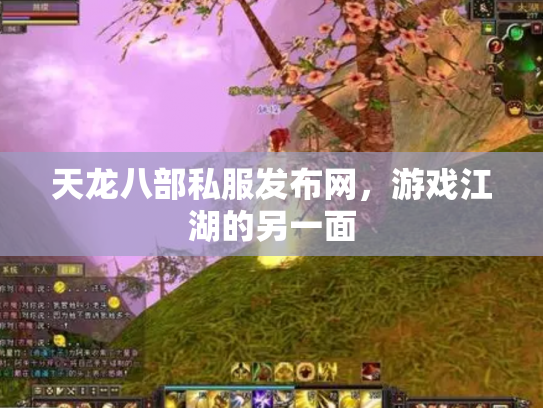 天龙八部私服发布网，游戏江湖的另一面