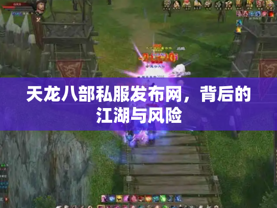 天龙八部私服发布网，背后的江湖与风险