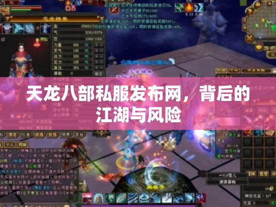 天龙八部私服发布网，背后的江湖与风险