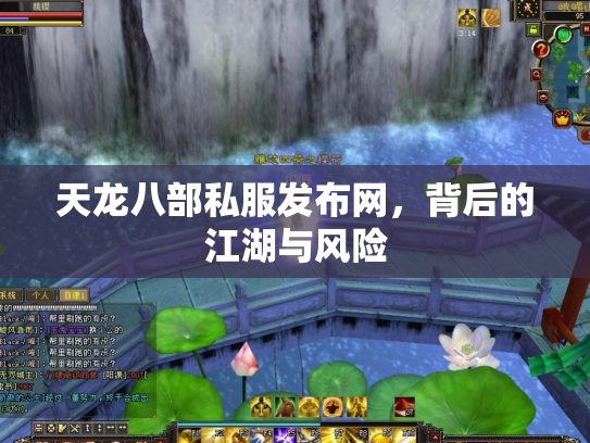 天龙八部私服发布网，背后的江湖与风险