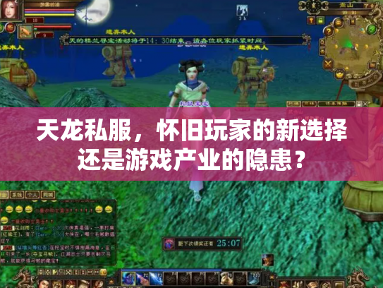 天龙私服，怀旧玩家的新选择还是游戏产业的隐患？
