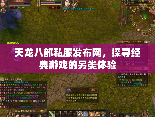 天龙八部私服发布网，探寻经典游戏的另类体验
