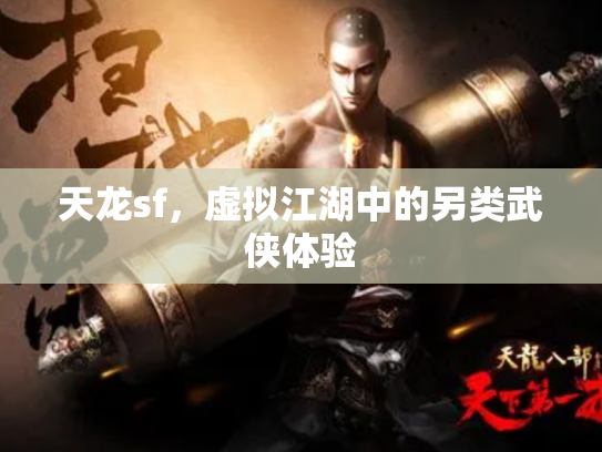 天龙sf，虚拟江湖中的另类武侠体验
