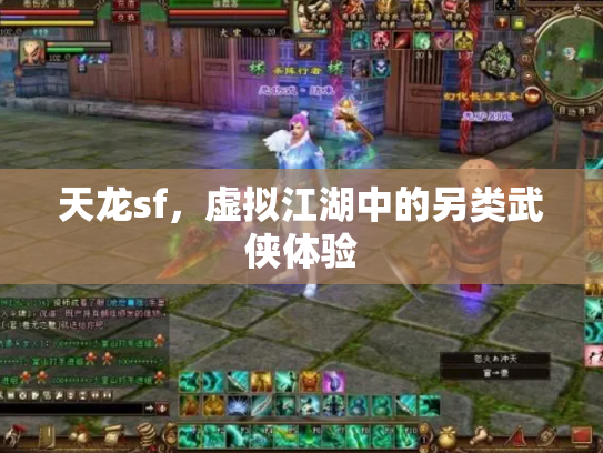 天龙sf，虚拟江湖中的另类武侠体验