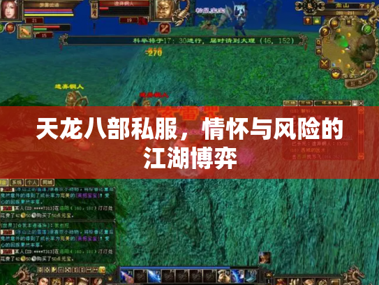 天龙八部私服，情怀与风险的江湖博弈