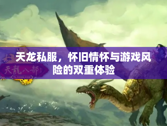 天龙私服，怀旧情怀与游戏风险的双重体验