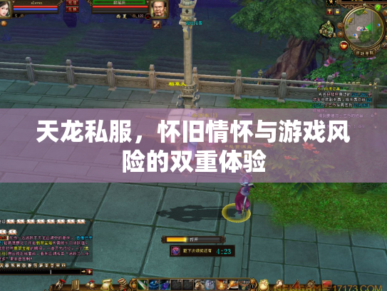 天龙私服，怀旧情怀与游戏风险的双重体验