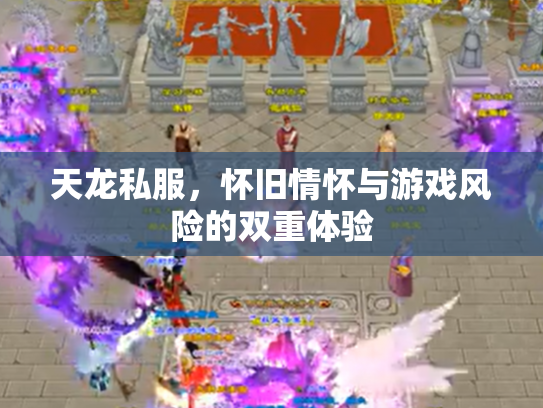 天龙私服，怀旧情怀与游戏风险的双重体验
