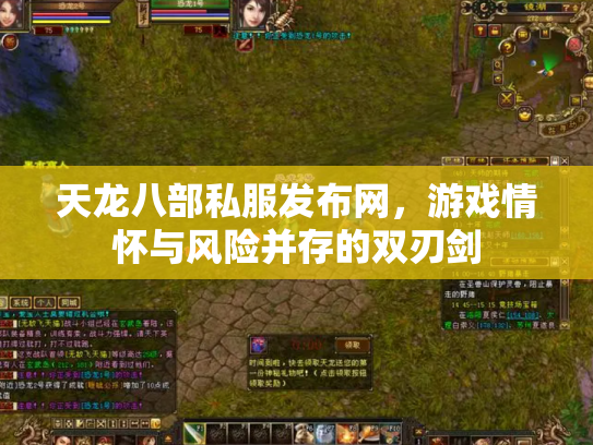 天龙八部私服发布网，游戏情怀与风险并存的双刃剑