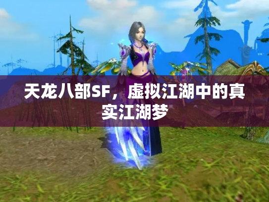 天龙八部SF，虚拟江湖中的真实江湖梦