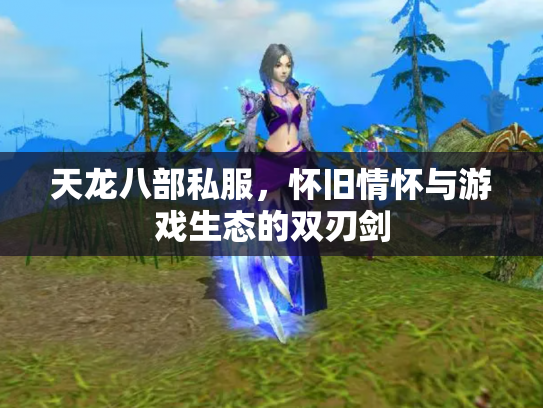 天龙八部私服，怀旧情怀与游戏生态的双刃剑