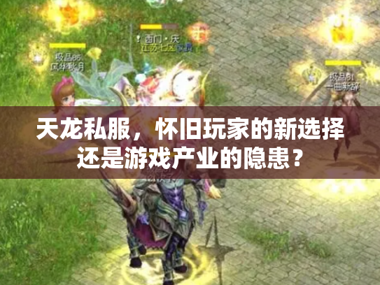 天龙私服，怀旧玩家的新选择还是游戏产业的隐患？