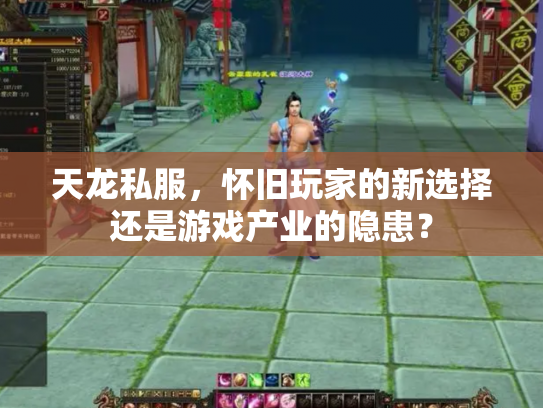 天龙私服，怀旧玩家的新选择还是游戏产业的隐患？