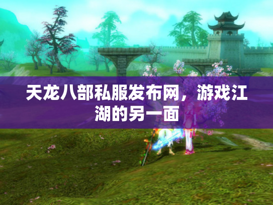 天龙八部私服发布网，游戏江湖的另一面