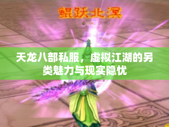 天龙八部私服，虚拟江湖的另类魅力与现实隐忧