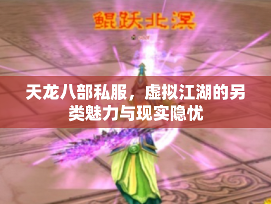 天龙八部私服，虚拟江湖的另类魅力与现实隐忧