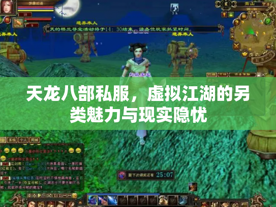 天龙八部私服，虚拟江湖的另类魅力与现实隐忧