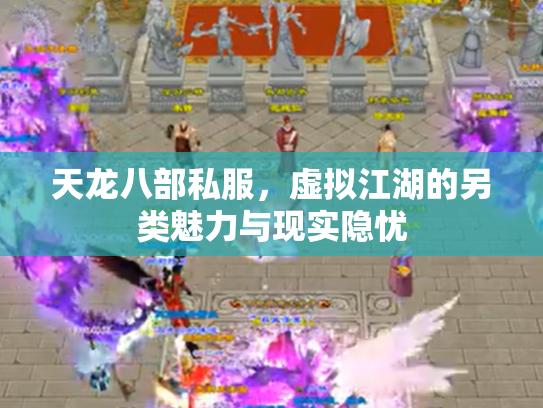 天龙八部私服，虚拟江湖的另类魅力与现实隐忧