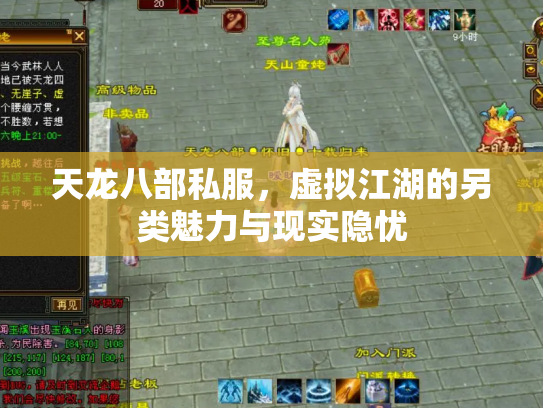天龙八部私服，虚拟江湖的另类魅力与现实隐忧