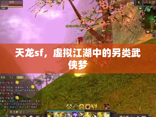 天龙sf，虚拟江湖中的另类武侠梦