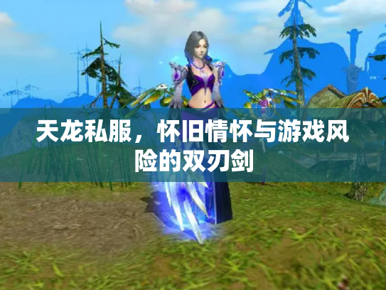 天龙私服，怀旧情怀与游戏风险的双刃剑