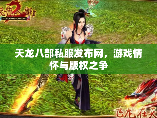天龙八部私服发布网，游戏情怀与版权之争