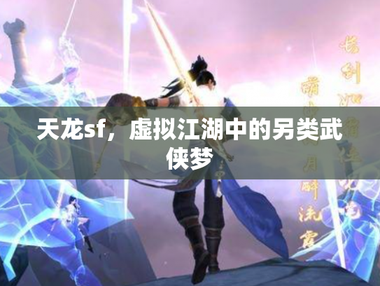天龙sf，虚拟江湖中的另类武侠梦