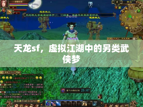 天龙sf，虚拟江湖中的另类武侠梦