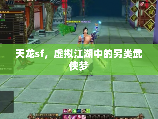 天龙sf，虚拟江湖中的另类武侠梦