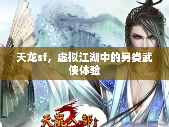 天龙sf，虚拟江湖中的另类武侠体验