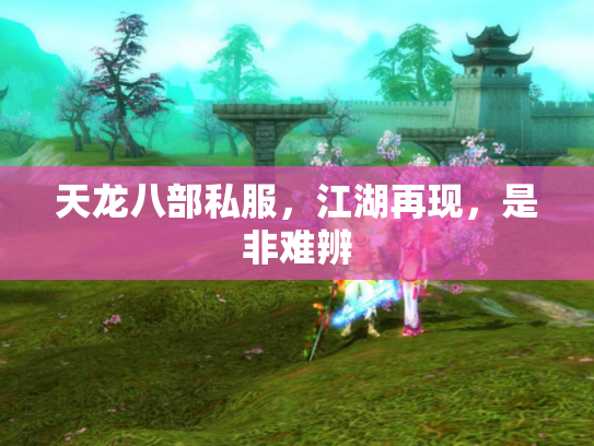 天龙八部私服，江湖再现，是非难辨
