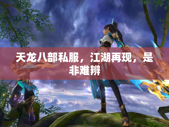 天龙八部私服，江湖再现，是非难辨