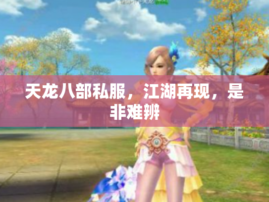 天龙八部私服，江湖再现，是非难辨