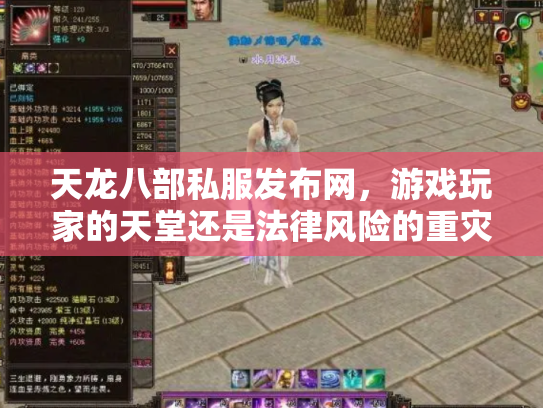天龙八部私服发布网，游戏玩家的天堂还是法律风险的重灾区？