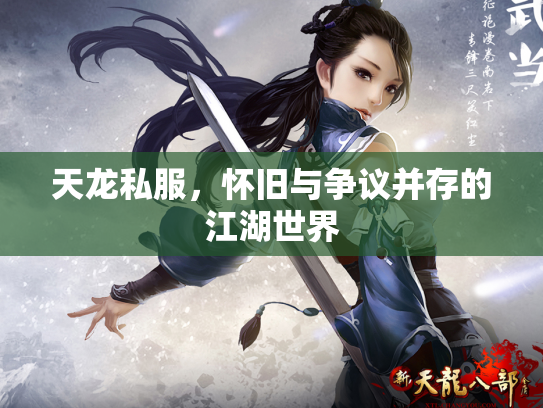 天龙私服，怀旧与争议并存的江湖世界