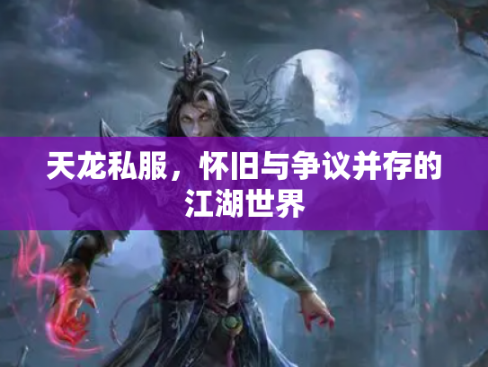 天龙私服，怀旧与争议并存的江湖世界