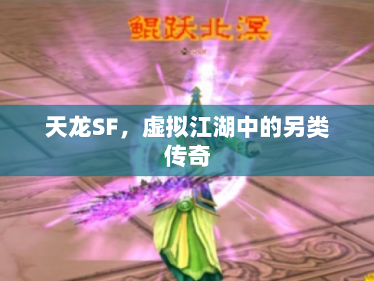 天龙SF，虚拟江湖中的另类传奇