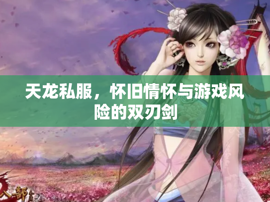 天龙私服，怀旧情怀与游戏风险的双刃剑