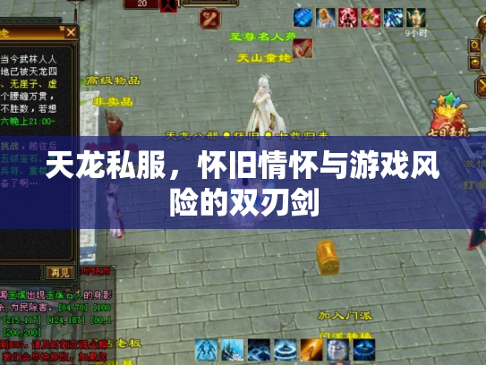 天龙私服，怀旧情怀与游戏风险的双刃剑