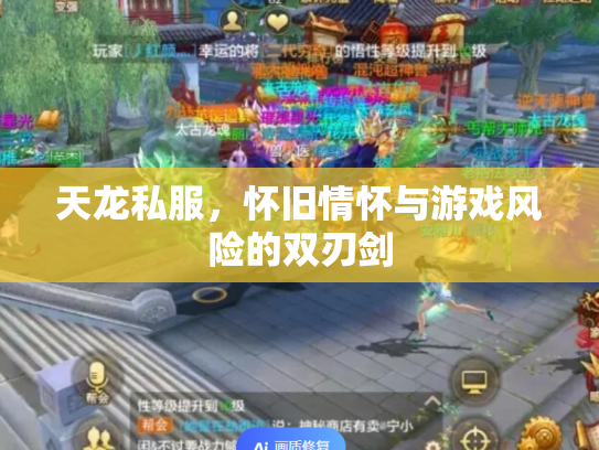 天龙私服，怀旧情怀与游戏风险的双刃剑