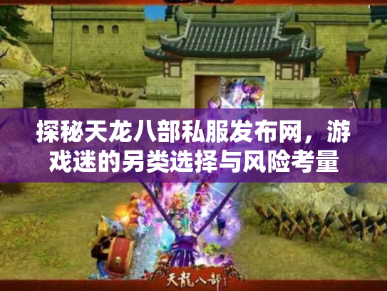 探秘天龙八部私服发布网，游戏迷的另类选择与风险考量