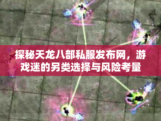 探秘天龙八部私服发布网，游戏迷的另类选择与风险考量