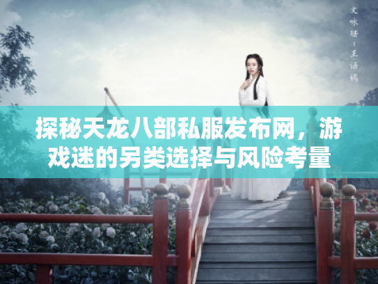 探秘天龙八部私服发布网，游戏迷的另类选择与风险考量