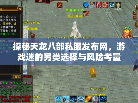 探秘天龙八部私服发布网，游戏迷的另类选择与风险考量