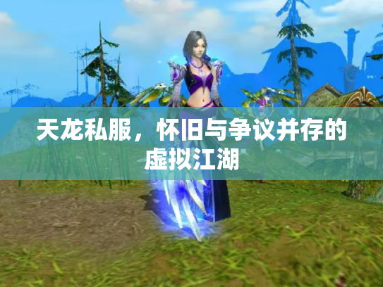 天龙私服，怀旧与争议并存的虚拟江湖