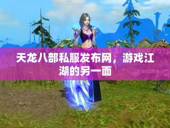 天龙八部私服发布网，游戏江湖的另一面
