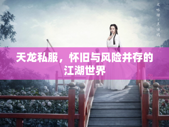 天龙私服，怀旧与风险并存的江湖世界