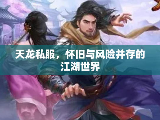 天龙私服，怀旧与风险并存的江湖世界