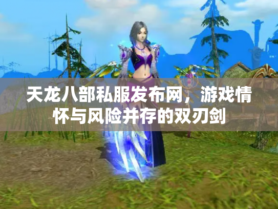 天龙八部私服发布网，游戏情怀与风险并存的双刃剑
